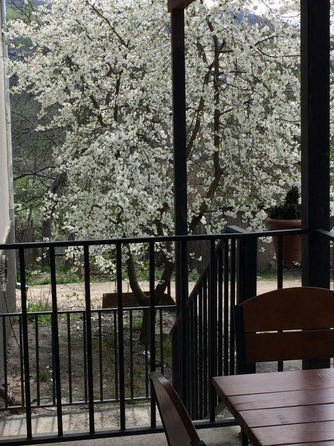 Four Seasons Apartment Sighnaghi Exterior foto